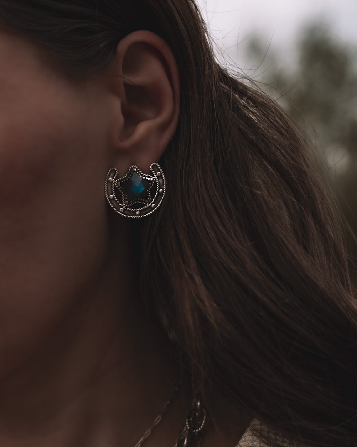 Starry Horseshoe Stone Earrings-Stud Earrings-Krush Kandy, Women's Online Fashion Boutique Located in Phoenix, Arizona (Scottsdale Area)