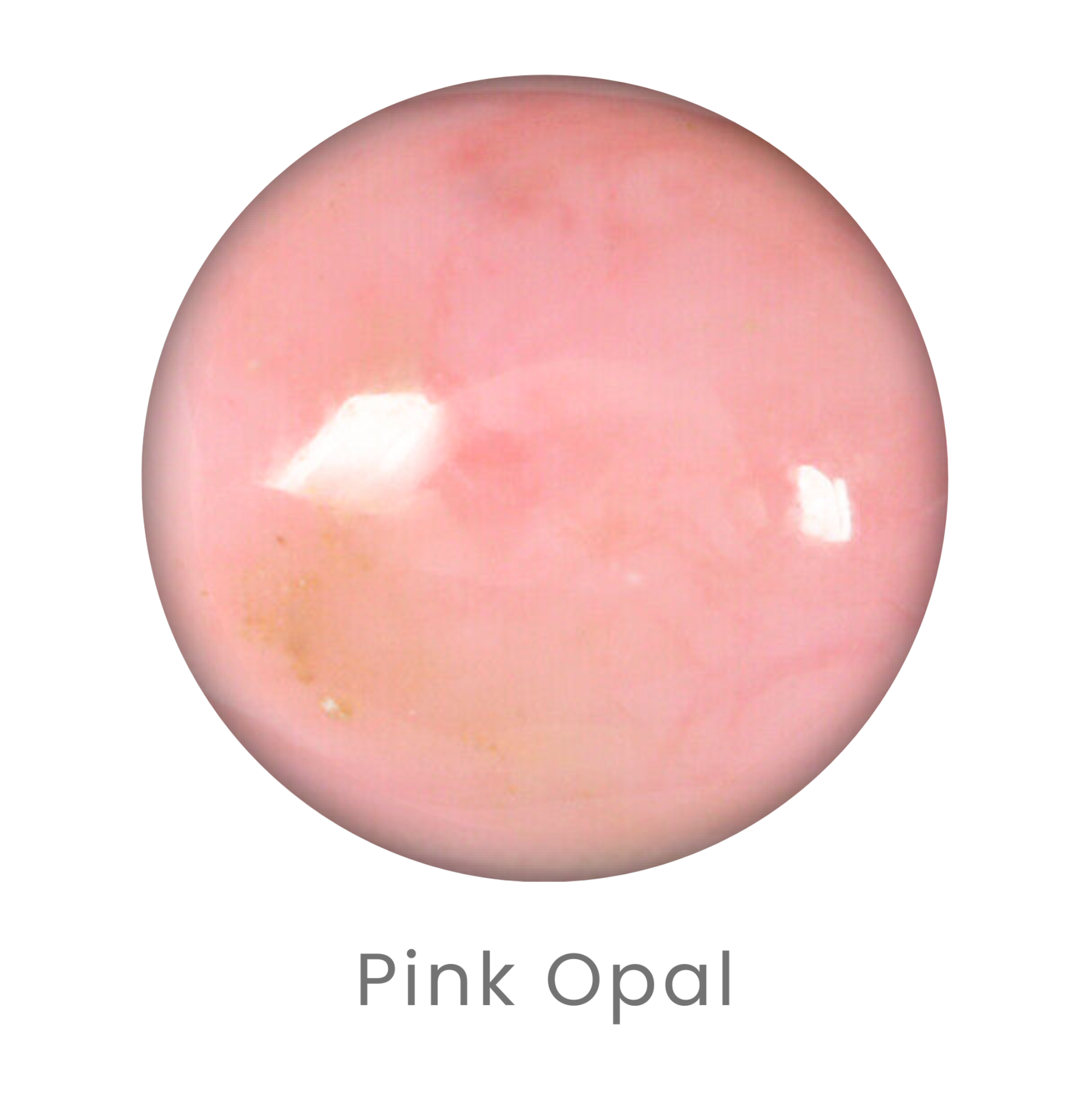 Mini Daisy Earrings MADE TO ORDER-Stud Earrings-Krush Kandy, Women's Online Fashion Boutique Located in Phoenix, Arizona (Scottsdale Area)