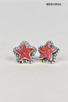 Shine Single Stone Star Stud Earring-Stud Earrings-Krush Kandy, Women's Online Fashion Boutique Located in Phoenix, Arizona (Scottsdale Area)